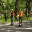 Шлем для взрослых Segway (Желтый)